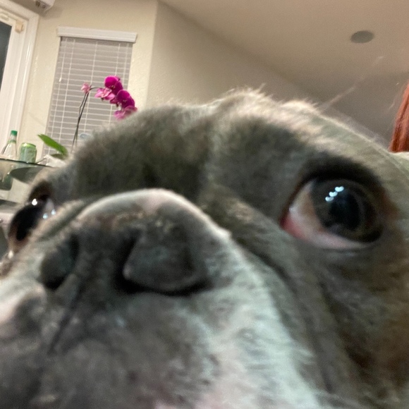 Meet your Posher, Sneha - Picture 1 of 1